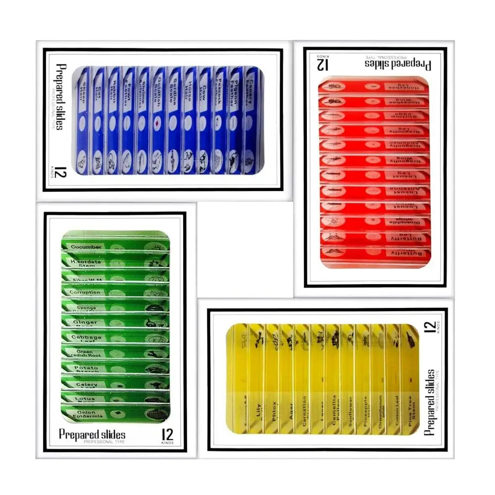 Prepared Slides Set